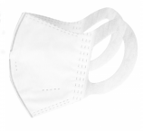 Ortho_Cham_mask